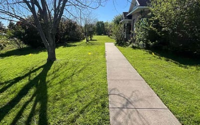 Photo of Robert R.'s yard after getting lawn care in Harlingen, TX
