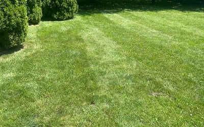 Photo of Richard R.'s yard after getting lawn care in Roselle, IL