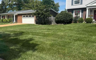 Photo of Konna K.'s yard after getting lawn care in St. Louis, MO