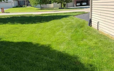 Photo of Ann C.'s yard after getting lawn care in Belvidere, IL