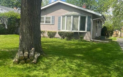 Photo of Garrett S.'s yard after getting lawn care in Palatine, IL