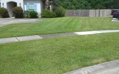 Photo of John D.'s yard after getting lawn care in Texarkana, AR