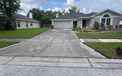 Photo of Bianca B.'s yard after getting lawn care in Holiday, FL