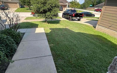 Photo of Greg T.'s yard after getting lawn care in College Station, TX