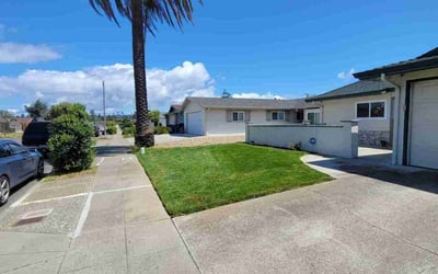 Photo of Melissa S.'s yard after getting lawn care in Alameda, CA