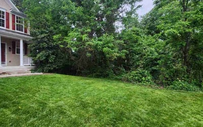 Photo of Diane G.'s yard after getting lawn care in Pine Hill, NJ