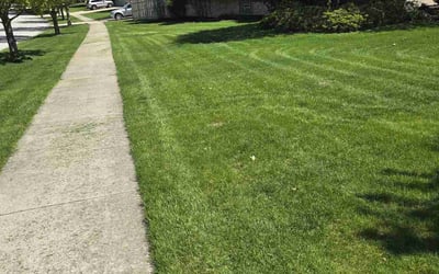 Photo of marla w.'s yard after getting lawn care in Orland Park, IL