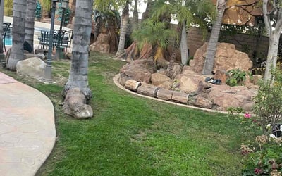 Photo of Keith S.'s yard after getting lawn care in Corona, CA