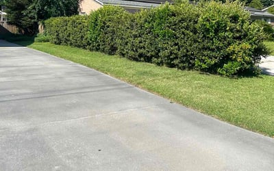 Photo of Ross M.'s yard after getting lawn care in Hilton Head Island, SC