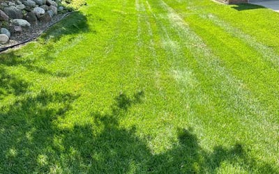 Photo of Michael R.'s yard after getting lawn care in Northville, MI