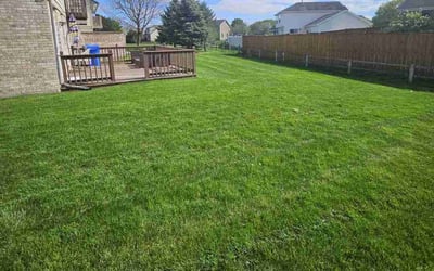 Photo of Michelle T.'s yard after getting lawn care in Whiting, IN