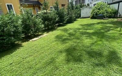 Photo of Tiffany R.'s yard after getting lawn care in Ooltewah, TN