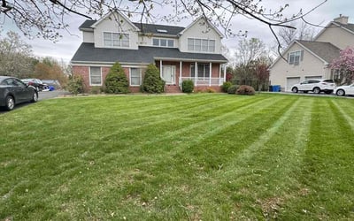 Photo of Tom A.'s yard after getting lawn care in Scotch Plains, NJ