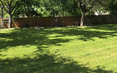 Photo of Jeanine O.'s yard after getting lawn care in North Andover, MA