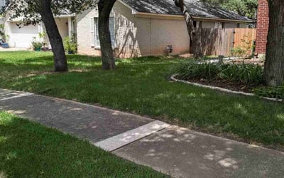 Photo of Debra C.'s yard after getting lawn care in Cedar Park, TX