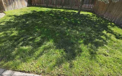 Photo of Mary K.'s yard after getting lawn care in Monroe, CT