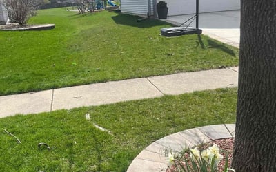Photo of Michael L.'s yard after getting lawn care in Vernon Hills, IL