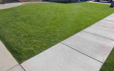 Photo of Leslie D.'s yard after getting lawn care in Sioux Falls, SD