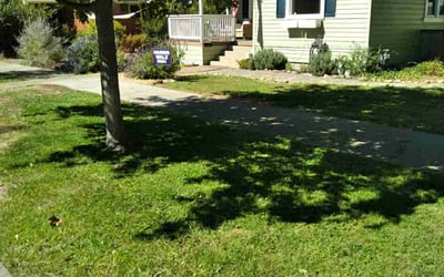 Photo of Myra S.'s yard after getting lawn care in Chico, CA