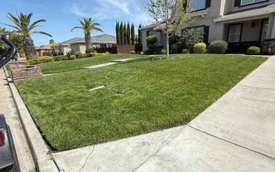 Photo of Chloe B.'s yard after getting lawn care in Tracy, CA