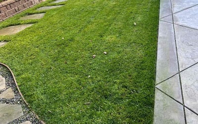 Photo of Brandon N.'s yard after getting lawn care in Redwood City, CA