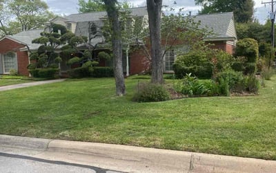 Photo of Rhonda M.'s yard after getting lawn care in Springfield Gardens, NY