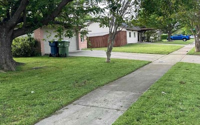 Photo of Susan T.'s yard after getting lawn care in Garland, TX