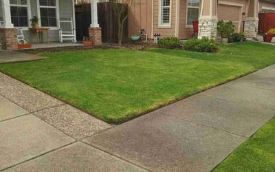 Photo of Richard Y.'s yard after getting lawn care in Santa Rosa, CA