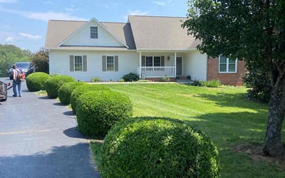 Photo of Dasia B.'s yard after getting lawn care in South Holland, IL