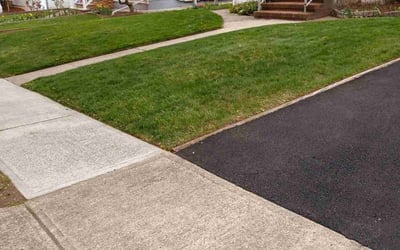 Photo of Lamarkist B.'s yard after getting lawn care in Lodi, NJ