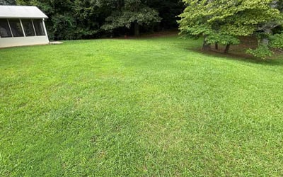 Photo of Aimee B.'s yard after getting lawn care in Harrisburg, PA