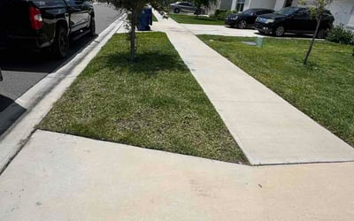 Photo of Alex M.'s yard after getting lawn care in Brookfield, CT