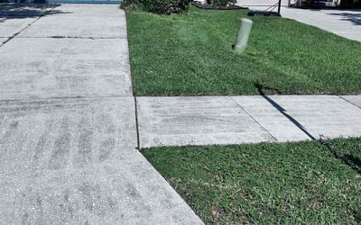 Photo of Randy M.'s yard after getting lawn care in College Station, TX