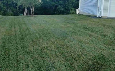Photo of Andrew M.'s yard after getting lawn care in Cohoes, NY