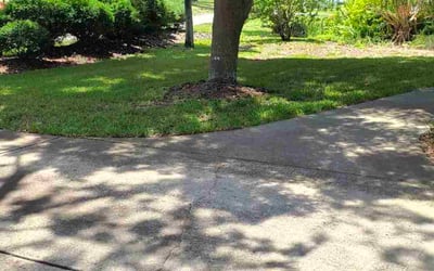 Photo of Claudia B.'s yard after getting lawn care in Mcminnville, OR