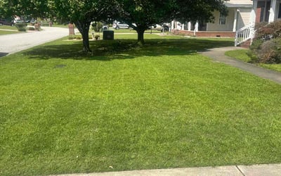 Photo of Carol T.'s yard after getting lawn care in Maumee, OH