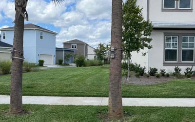 Photo of Charles B.'s yard after getting lawn care in Lansdale, PA