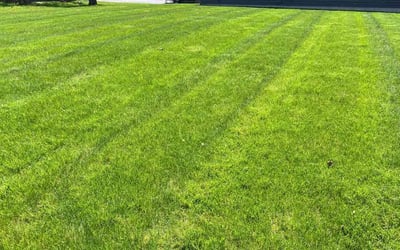 Photo of Kruti P.'s yard after getting lawn care in Orchard Park, NY