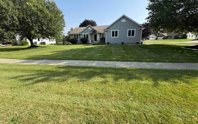 Photo of Jonathan C.'s yard after getting lawn care in Bristol, TN