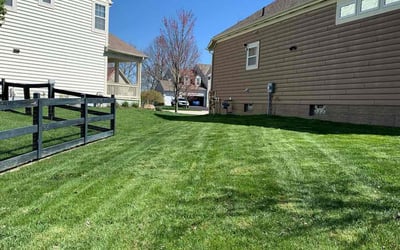 Photo of Penny F.'s yard after getting lawn care in Powell, OH