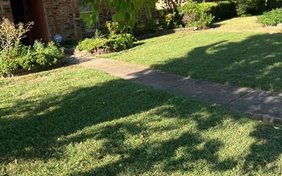 Photo of Craig C.'s yard after getting lawn care in Waukegan, IL
