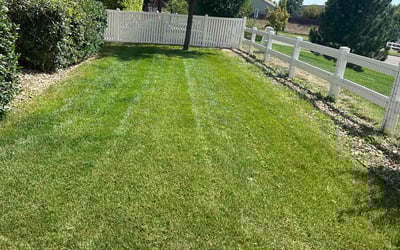 Photo of Liz M.'s yard after getting lawn care in Longmont, CO