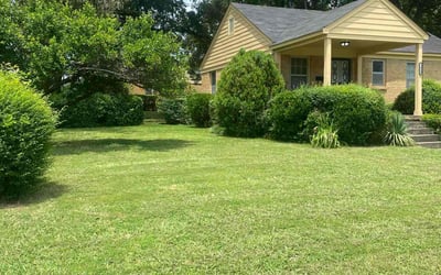 Photo of Daniel V.'s yard after getting lawn care in Umatilla, FL