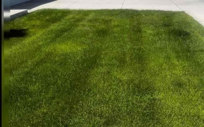 Photo of Kristin W.'s yard after getting lawn care in Springfield, VA