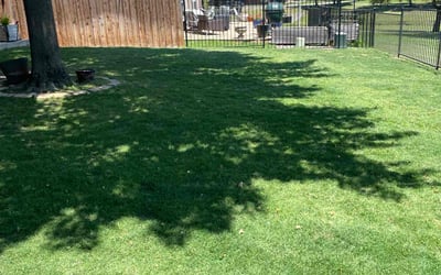 Photo of Kevon K.'s yard after getting lawn care in Stratford, CT