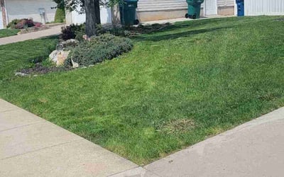 Photo of Stephanie R.'s yard after getting lawn care in Layton, UT