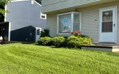 Photo of Kari M.'s yard after getting lawn care in Northfield, OH