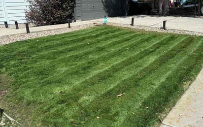 Photo of Gregg F.'s yard after getting lawn care in Fountain, CO