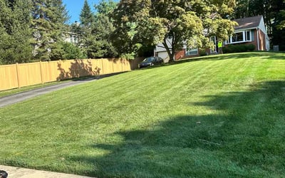 Photo of Marcel B.'s yard after getting lawn care in Rancho Cucamonga, CA