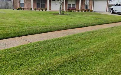 Photo of Monique F.'s yard after getting lawn care in Turlock, CA